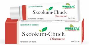 WHEEZAL Skookum Chuck Ointment 25 gm (PACK OF 4)