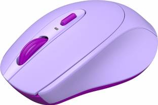 Portronics Toad 31 with Receiver, Ergonomic Design, Adjustable DPI Wireless Optical Mouse