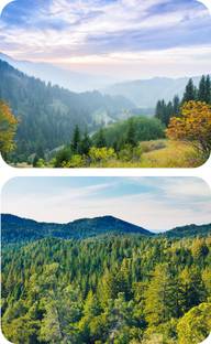 escope Pack fo 2 Nature Printed MousePad for Computer, PC, Laptop Non Slip Base Mousepad