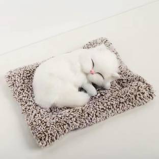 MY BABY LOVE A PERFECT CARE Sleeping cat with meaw sound | Musical cat Idol B