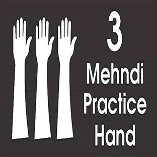 HR ENTERPRISE ACRYLIC MEHNDI PRACTICE HAND BOTH SIDE REUSABLE PACK OF 3