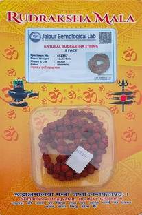 The Vaidik 5 Mukhi Rudraksha Mala For Men, 108 Beads Rudraksha Japa Mala Resin Chain