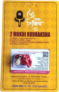 Robin Export Company 5 Mukhi Nepali Rudraksha Five Faced original Rudraksh Sterling Silver Plated Wood Chain