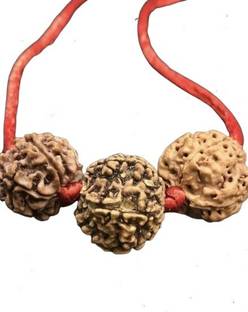 Rudraksham Rudraksh for Love and Relation made of Nepali 4 mukhi 6 mukhi 7 Mukhi rudraksha Rudraksha Chain