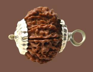 Kripalu store "Silver Plated Ten-Faced Rudraksha Chain" Beads Rudraksha Chain