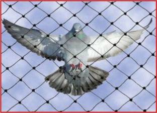 Supreme 10FT X 10FT Nylon Balcony Net/Bird Net/Monkey Net/Child Protection Net Camping Net