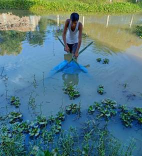 Das Departmental Store Hand Pulling Triangular Shape Pond, Lake, Paddy Field, River Stream Edge Fishing Net