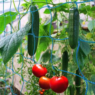 grenfel Garden 6x15.5 FT Trellis Netting for Climbing Plants Outdoor, Net 2x2 Inch Hiking Net