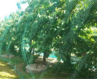 SpikeZone Anti Bird Net 6 X 10 Foot Net Camping Net