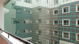Amur Anti Bird Net / Garden Net 10 Ft. x 10 Ft. ( 100 SQFt) HDPE Nylon Net For Balcony Hiking Net