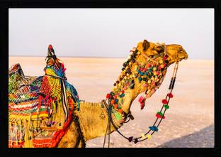 Just Zest Art Wood Wall Photo Frame