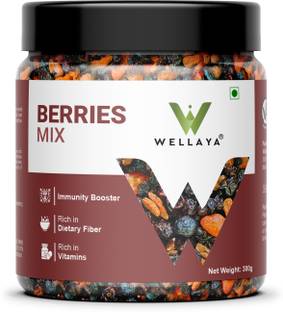 WELLAYA Healthy Berries Mix Blueberry, Cranberry, GojiBerry, Black Currant, Strawberry Blueberry, Cranberries, Black Currant, Goji Berries, Strawberries
