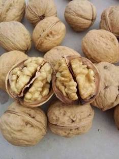 ZION Organic Inshell Walnut with shell 1kg Akhrot Walnuts