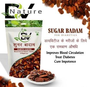 DV Nature Sky Fruit Seed / (700g) Miracle Fruit/Thenkai/ sugar badam | Control Diabetes Almonds