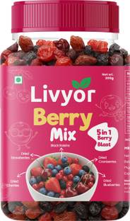 LIVYOR Berry Mix | 5 in 1 Mixed Berries Dry Fruits Blueberry, Cranberries, Strawberries, Cherries, Raisins