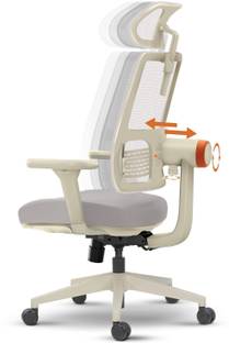 Drogo Ergonomic Office Chair for Work from Home Computer Chair Adaptive Lumbar Support Mesh Office Executive Chair