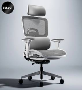 GREEN SOUL Icon Pro Ergonomic Office | ErgoLift Back | IntelliAdapt Recline |Korean Mesh Office Adjustable Arm Chair