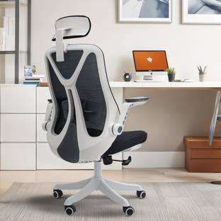 Drogo Ergonomic Office Chair for Work from Home Computer Chair Lumbar Support, Recline Mesh Office Executive Chair
