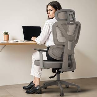 Drogo Ergonomic Office Chair for Work from Home Computer Chair with Lumbar Support 3D Mesh Office Adjustable Arm Chair