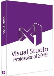 MICROSOFT Visual Studio Professional 2019 (1 User/PC, Lifetime Validity)