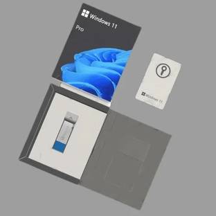 MICROSOFT Office Professional Plus 2024 for Lifetime (1 User/PC) Activation Key Card