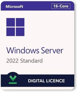 MICROSOFT Windows Server office 2021/2024 professional plus Standard (1 User, Lifetime Validity) Digital License