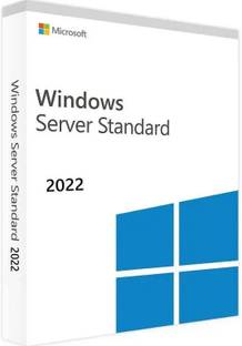 MICROSOFT Windows Server 2022 Standard License Standard (1 User/PC, Lifetime Validity)