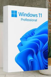 MICROSOFT Windows 11 Professional_AB012 1 User / 1 PC Lifetime Validity Retail License 32 /64 Bit (Flash Drive)