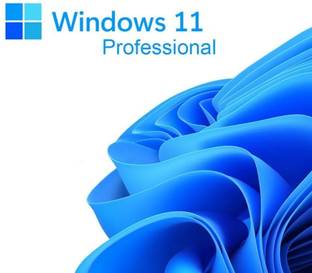 MICROSOFT Windows 11 Professional (1 User/PC, Lifetime Validity) OEM 32/64 Bit