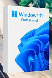 MICROSOFT Windows 11 Professional_AB08 1 User / 1 PC Lifetime Validity Retail License 32 /64 Bit (Flash Drive)