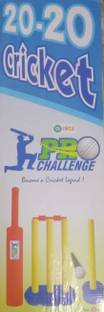 Ekta Toys 20-20 cricket set