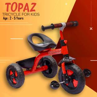 PANDA TOPAZ TRIKE FOR KIDS TOPAZ TRIKE FOR KIDS Tricycle