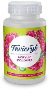 Fevicryl Acrylic Colour (100 Ml) White (Set of 1, White)