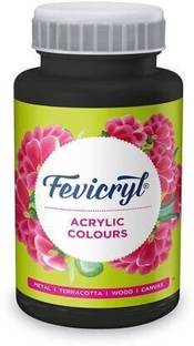Fevicryl Acrylic Colour (100 Ml) Black (Set of 1, Black)