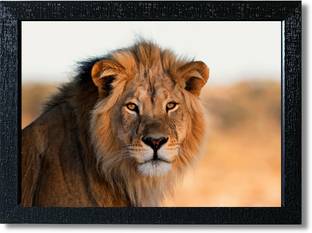 Wild animal posters framed for wall decoration Photographic Paper