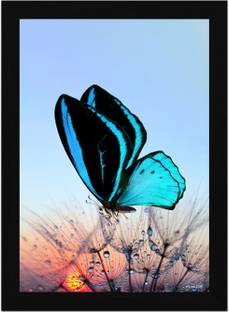 FRIZZY ARTS Twilight Wings – Blue Butterfly on Dandelion at Sunset A4 Digital Reprint 13 inch x 10 inch Painting