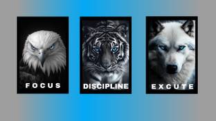 bareth brothers Power Animal Motivation Frame Set (Eagle,Tiger,Wolf) (12x18 inch, Set of 3) Digital Reprint 18 inch x 12 inch Painting