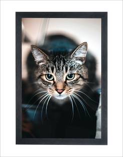 Chitransh Beautiful Cat Wall Mounted Painting Digital Reprint 20 inch x 14 inch Painting