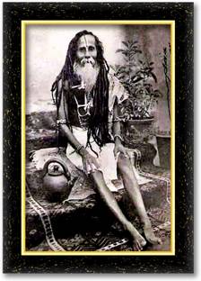 ARAAKA SRI SRI SITARAMDAS OMKARNATH photo frame (Wood Base and Front Laminated) Acrylic 12 inch x 8 inch Painting