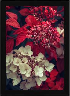 FRIZZY ARTS Crimson Contrast – Hydrangea and Scarlet Bloom Fusion Digital Reprint 20 inch x 14 inch Painting