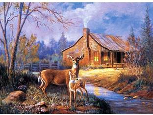 HASTHIP DIY 5D Diamond Painting Kit by Numbers, Full Diamond Crystal Embroidery,Embroidery Cross Stitch Pictures,Decoration Art Crafts for Home(30 * 40CM) Canvas 11 inch x 15 inch Painting