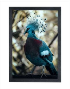 Chitransh Gifts Victoria crowned pigeon Wall Mounted Painting Photo Frame Digital Reprint 14 inch x 20 inch Painting