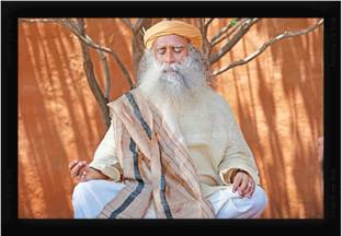 Braj Art Gallery Sadhguru Jaggi Vasudev Meditating Under Tree Photo Frame Digital Reprint 13.5 inch x 19.5 inch Painting