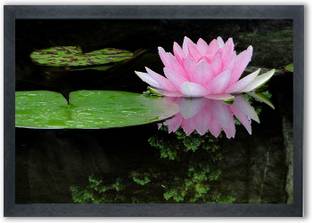 Shree Shyam Lotus Painting Photo Frame For Wall Mounted Painting (10 * 14 Inches) Digital Reprint 14 inch x 10 inch Painting