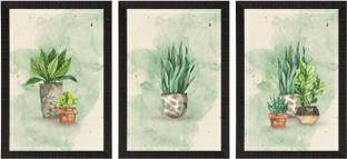 eCraftIndia Set of 3 Flower Pots Wall Paintings Digital Printed Floral Art Canvas 14 inch x 30 inch Painting