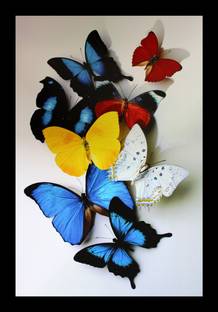 jog craft butterfly painting| butterfly photo frame|butterfly photo Digital Reprint 20 inch x 14 inch Painting