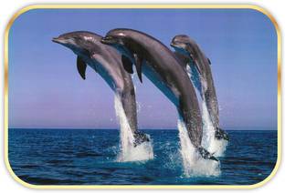 saf Dolphin Sparkle lamination Round Golden Framed Large Painting Canvas 14 inch x 20 inch Painting