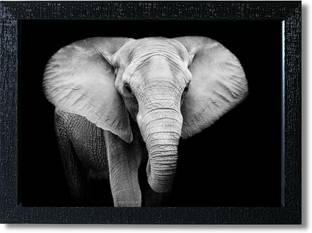 Wild animal posters framed for wall decoration Photographic Paper