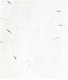 Devraaj Marigold Seed Paper Unrule 5x7 250 gsm A4 paper