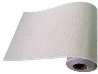 MEDIGRAPH a1 ruled 40 20 gsm Paper Roll